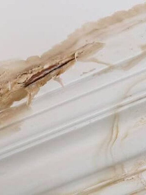 Leak Detection